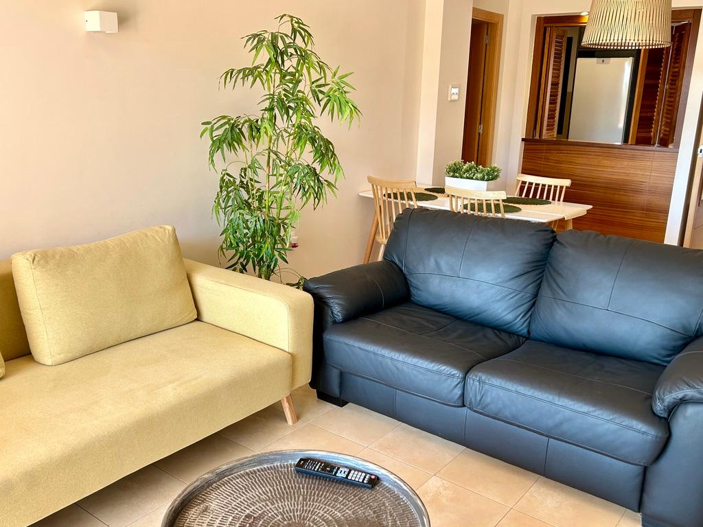 Luxury 2 bedroom apartment with private pool6